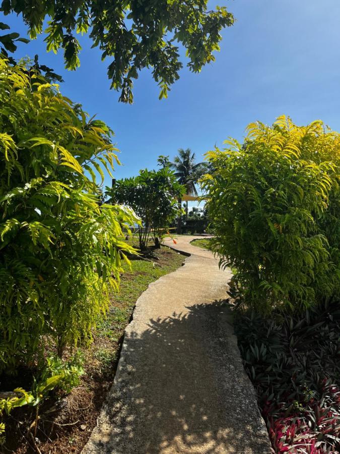 Camp Taveuni Hostel Матей Екстериор снимка
